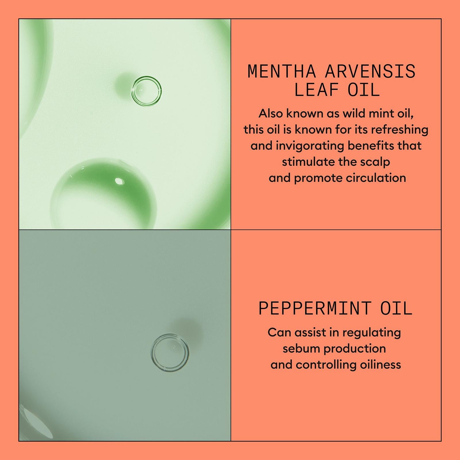 Scalp + Hair Thickening System 4 Conditioner