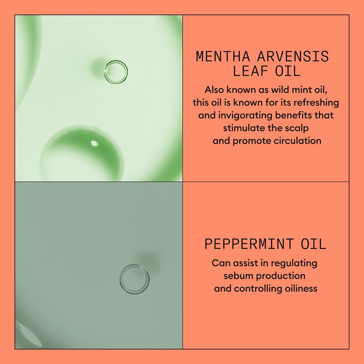 Scalp + Hair Thickening System 4 Conditioner