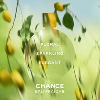 その他 CHANEL CHANCE Eau de Toilette 50ml CHANCE EAU TENDRE Eau de Toilette Twist and Spray - CHANEL