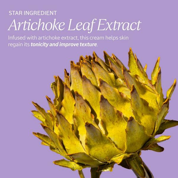 L'Occitane Artichoke Warming Body Scrub #4