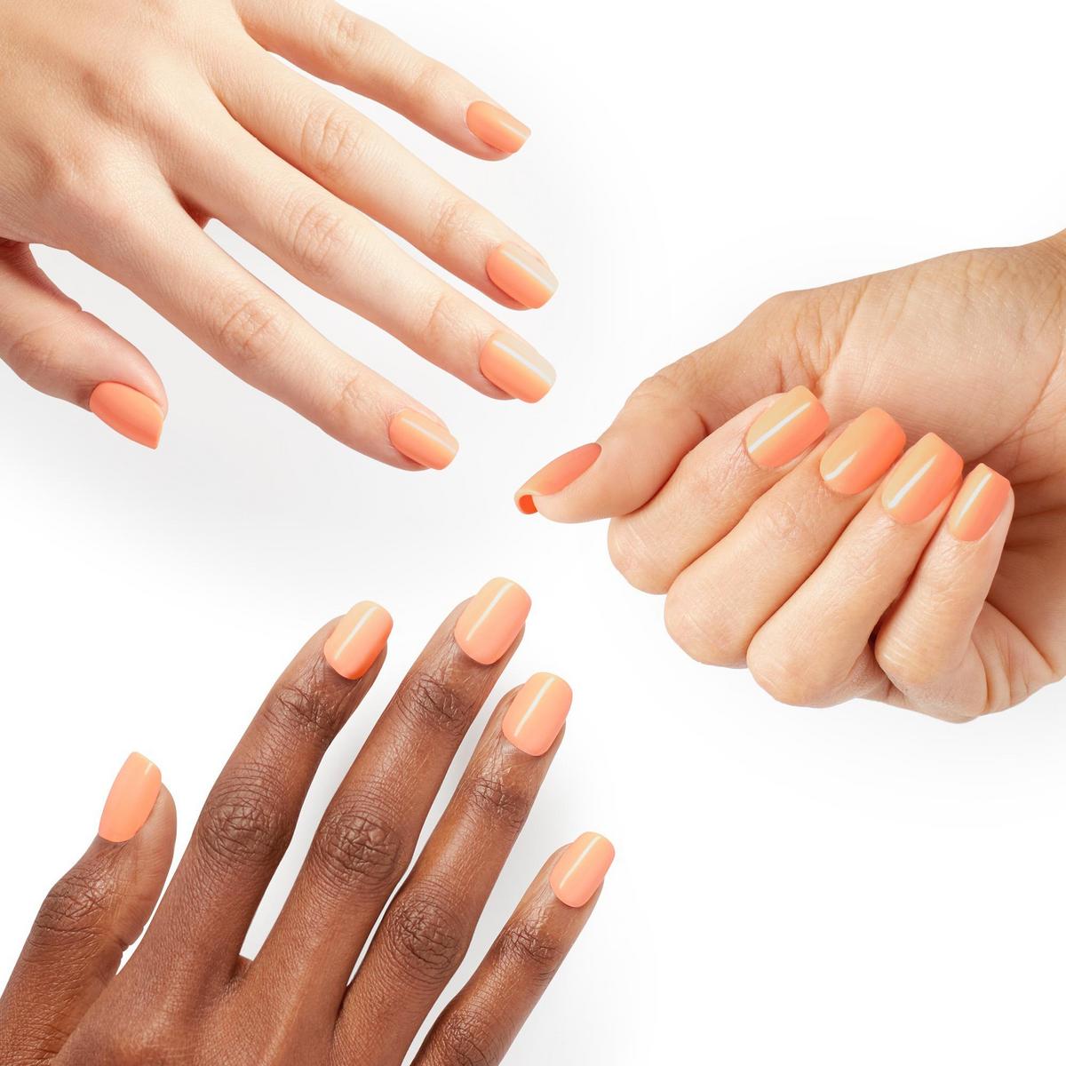 xPRESS/On Summer Collection Press On Nails