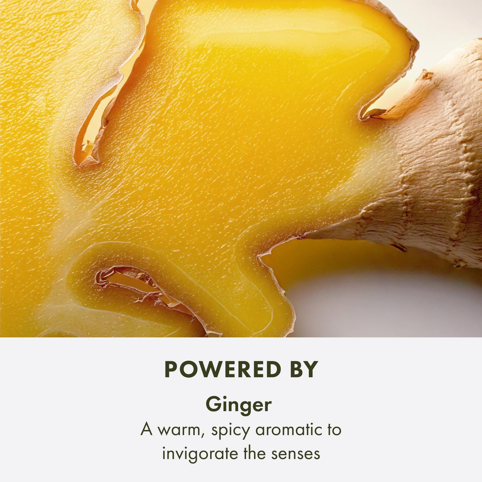 Ginger Essence Sensuous Skin Perfume Scent