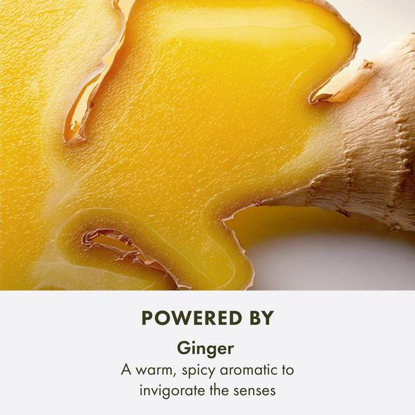 Origins Ginger Essence Sensuous Skin Perfume Scent #5