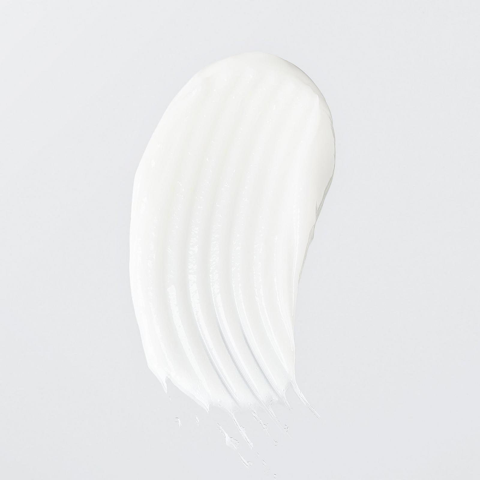 Hydrate Conditioner for Dry and Frizzy Hair