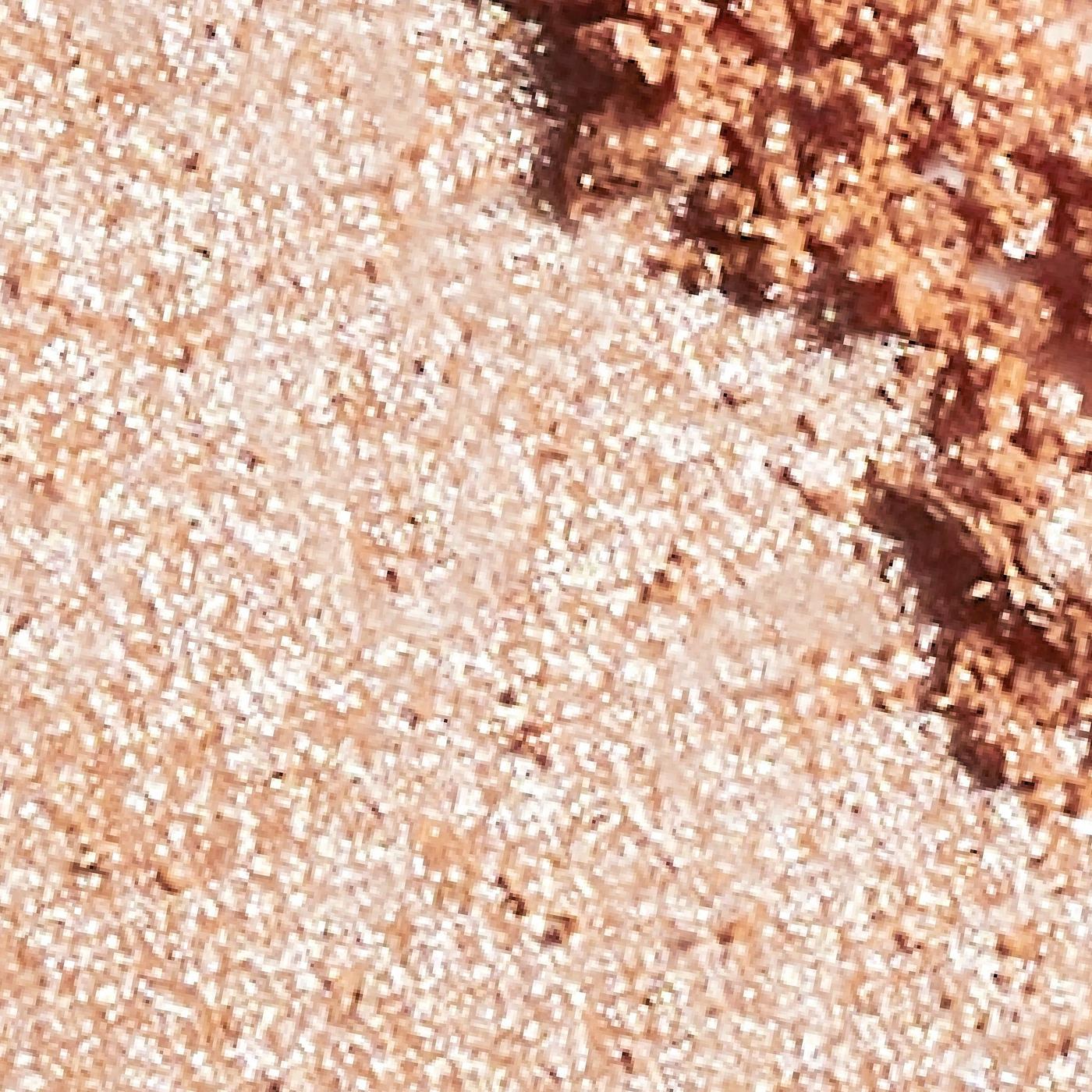 Infallible Up to 24H Highlighter