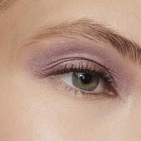 L'Oréal Paris Le Shadow Stick #5