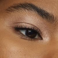 L'Oréal Le Shadow Stick #5
