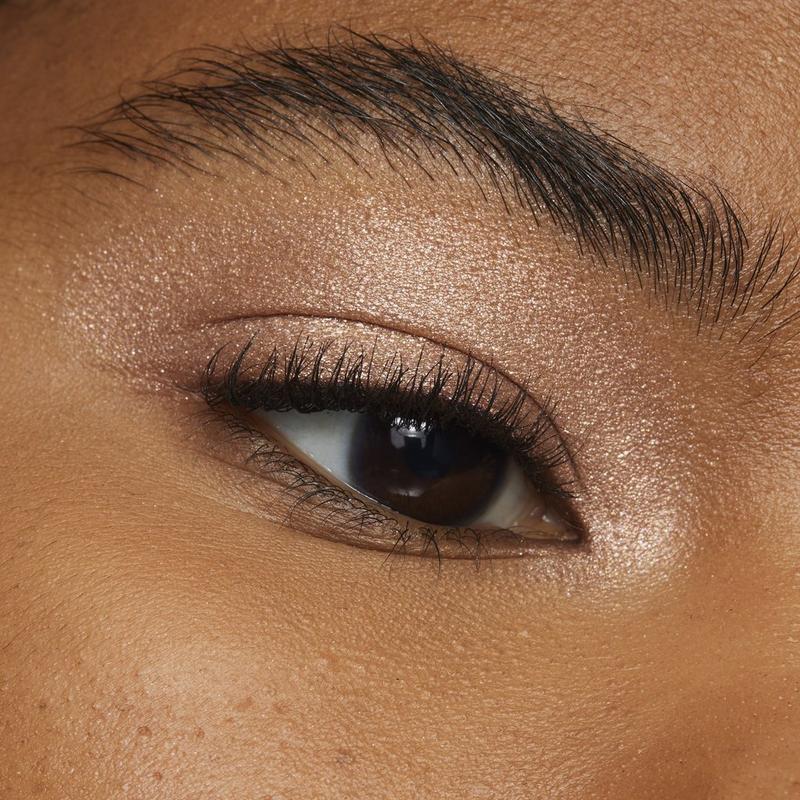 L'Oréal Le Shadow Stick #5