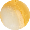 Vanilla Bean