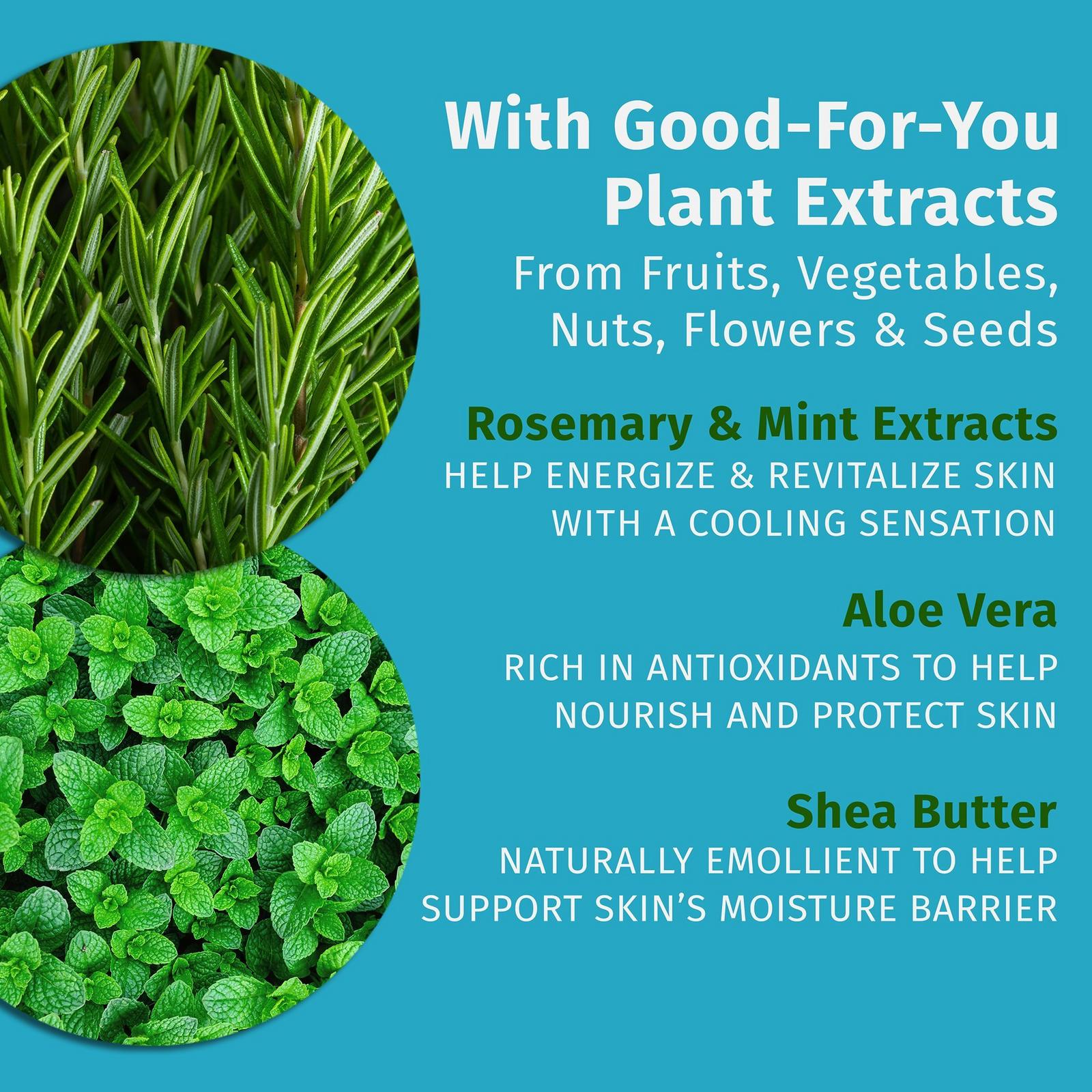 Rosemary and Mint Herbal Body Moisturizer