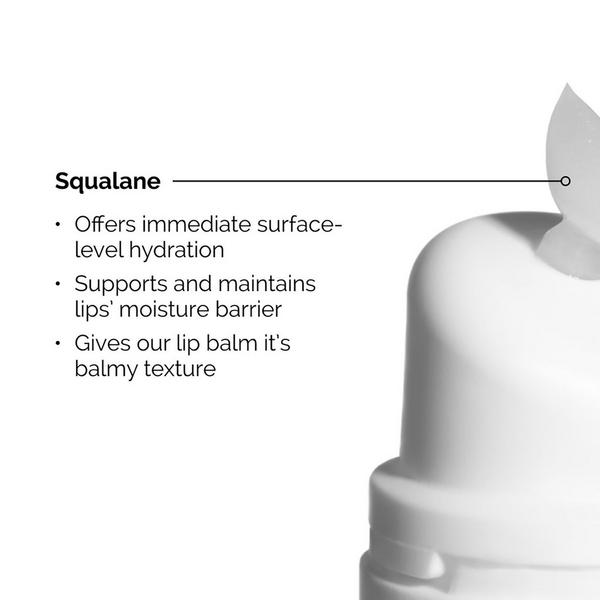 The Ordinary Squalane + Amino Acids Hydrating Lip Balm #5