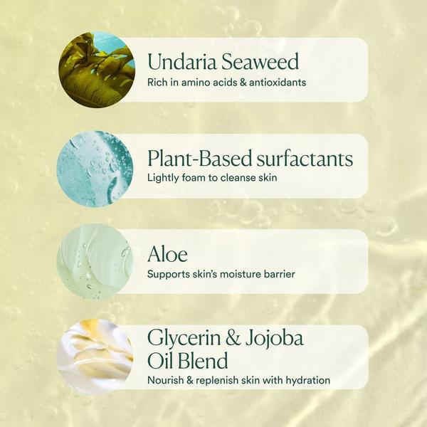 OSEA Undaria Algae Body Wash #6