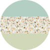 Sage In Stone