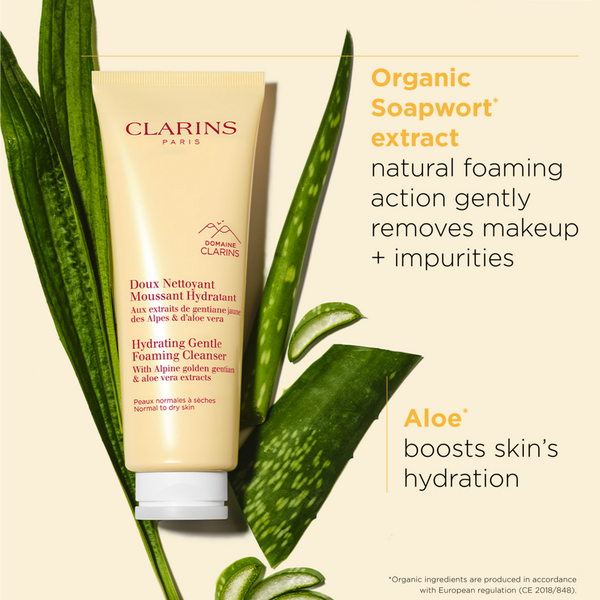 Clarins Hydrating Gentle Foaming Face Cleanser #4