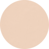 1N