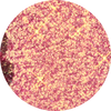 Mystic Pink