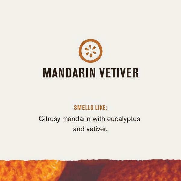 Every Man Jack Mandarin Vetiver Body Wash #3