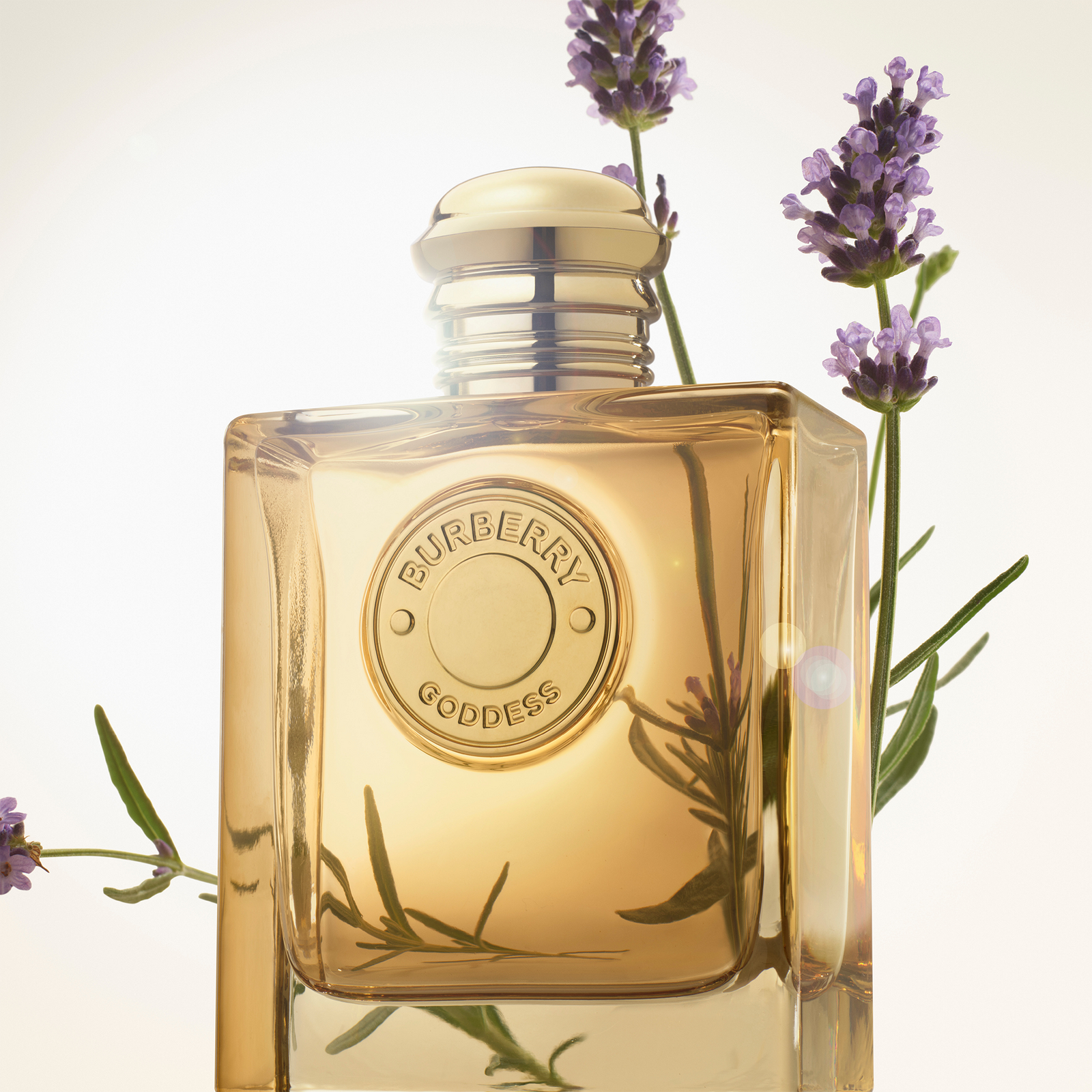 Burberry - 1.6 oz Burberry Goddess Eau de Parfum Intense Burberry - 1.6 oz Burberry Goddess Eau de Parfum Intense