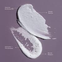 LolaVie Exfoliate & Detox Scalp Shampoo #4
