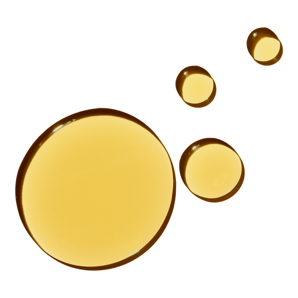 Fragrance Free Undaria Algae Body Oil