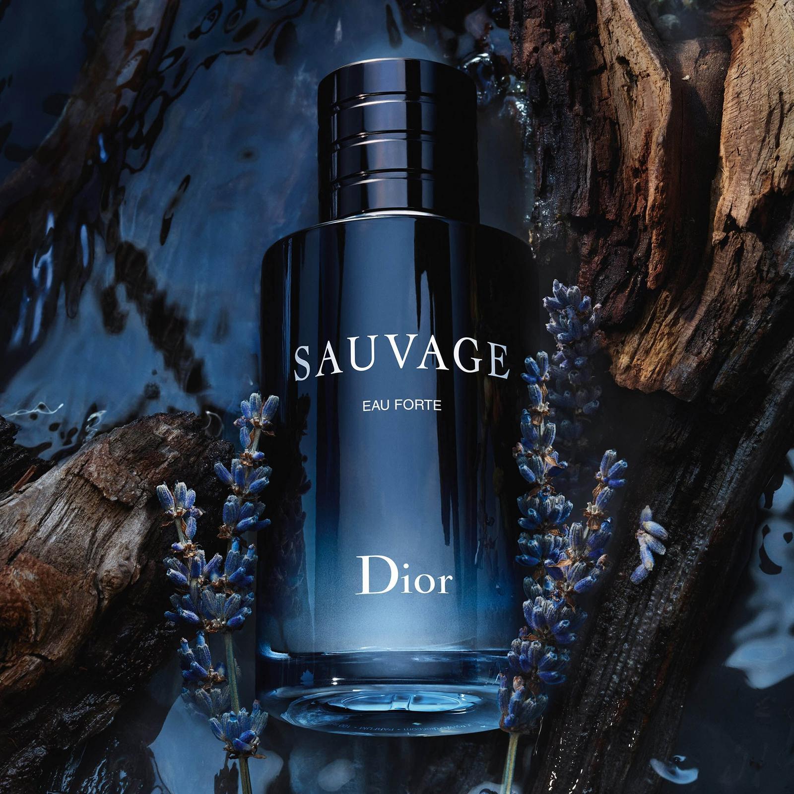 Sauvage: the world of the iconic Dior fragrance for men