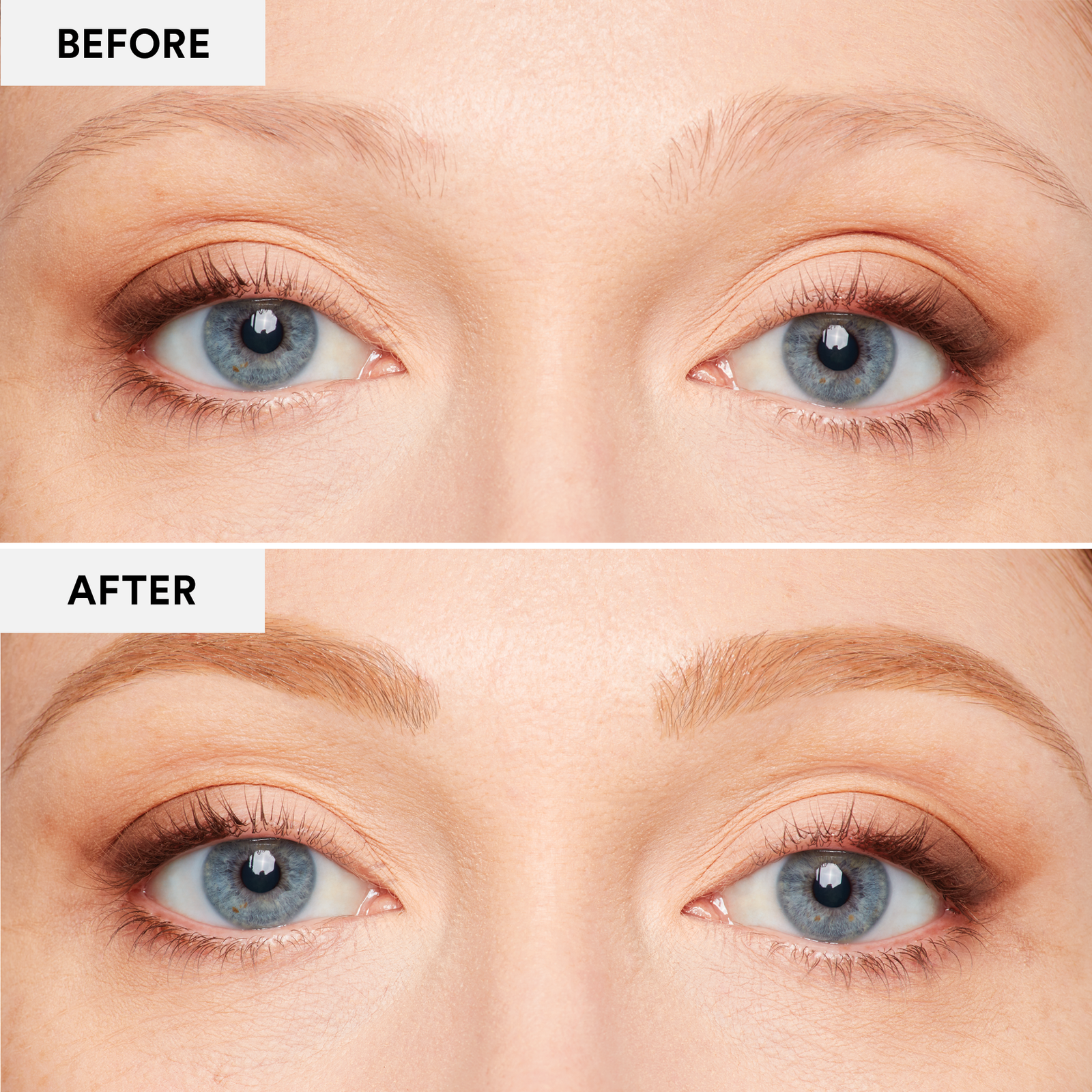 Longwear Brow Stain - Espresso