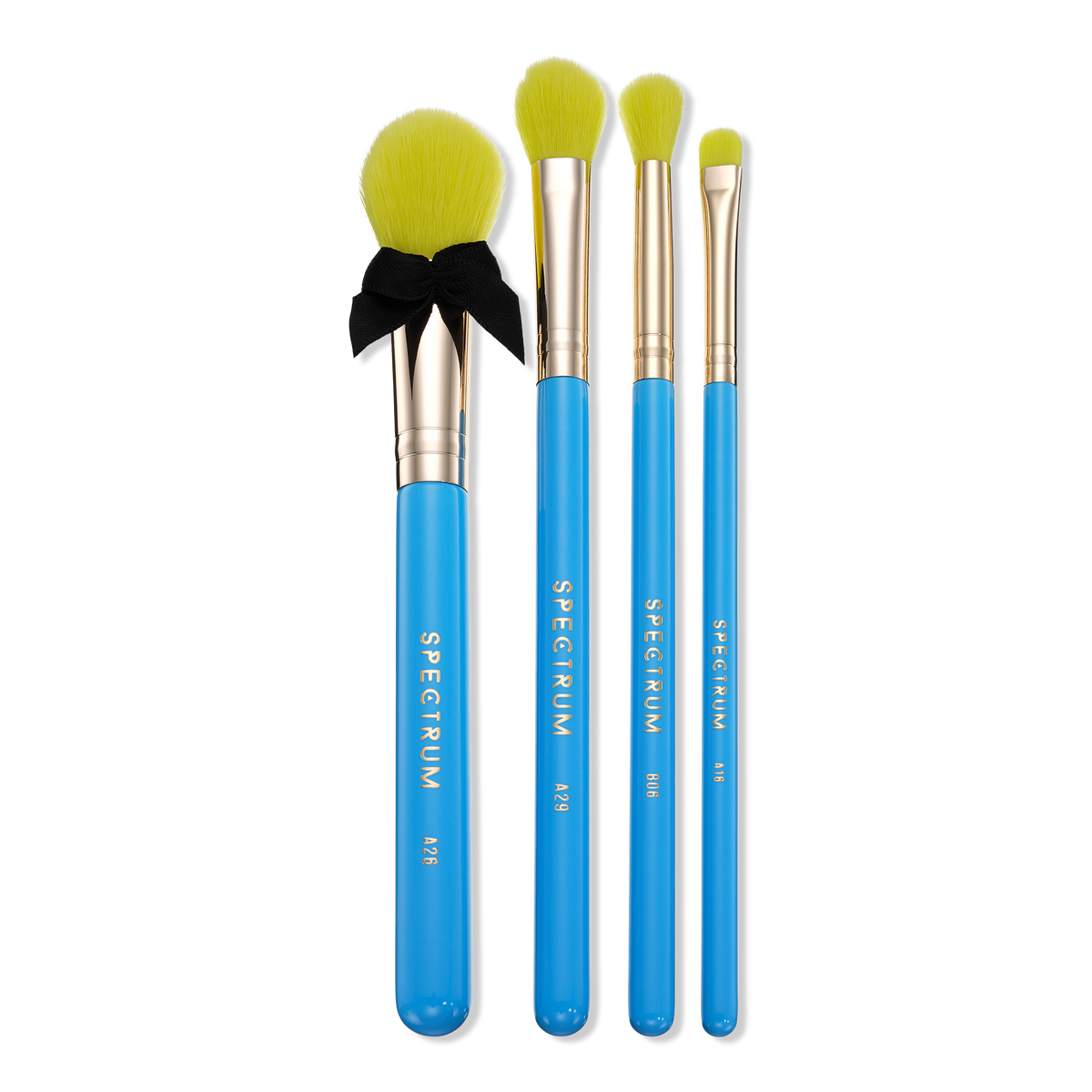 Popular 4 Piece Makeup Brush Set with Bag