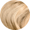 Vanilla