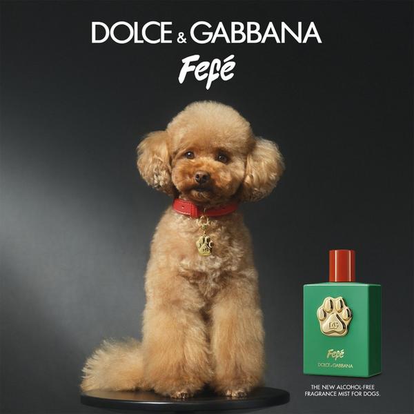 Dolce&Gabbana Fefé Alcohol-Free Fragrance Mist For Dogs #8