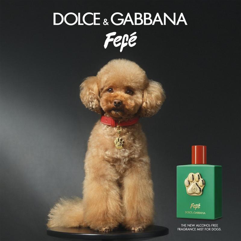 Dolce&Gabbana - Fefé Alcohol-Free Fragrance Mist For Dogs | Ulta