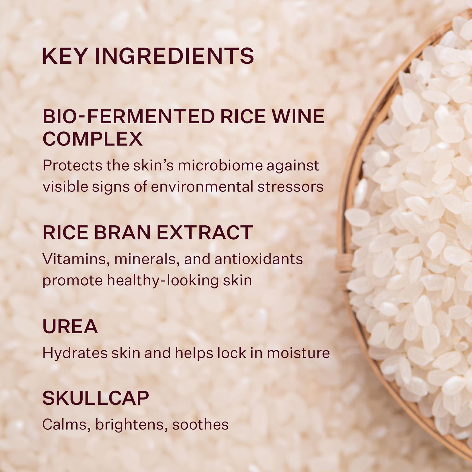 Bio Rice Wine Softening Toner