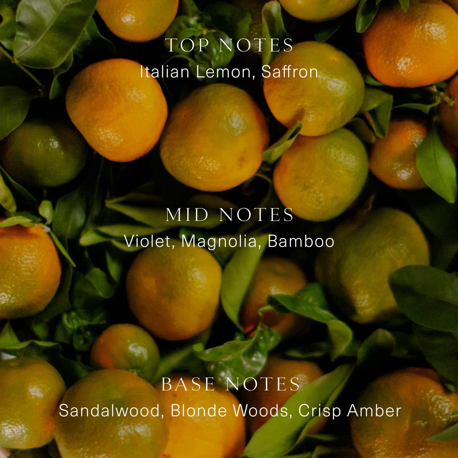 Violet Santal Signature Fragrance Set