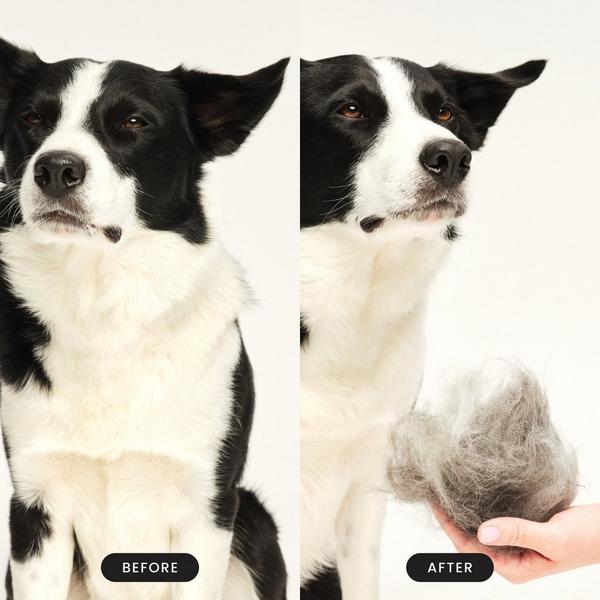 Tangle Teezer Large De-Shedding Dog Grooming Brush #7