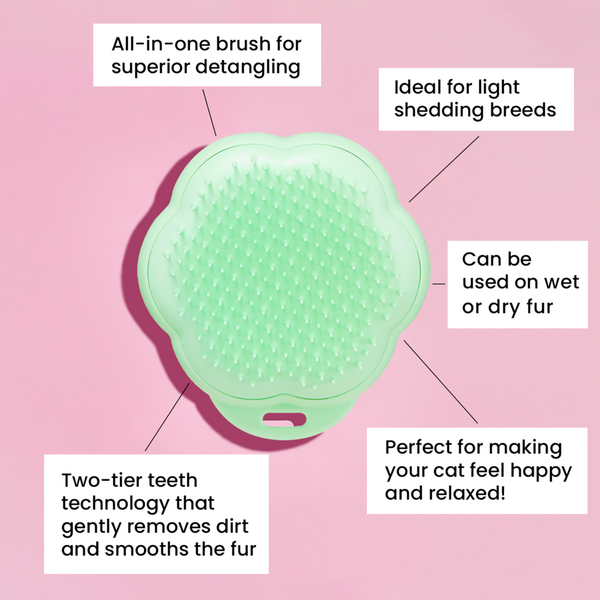 Tangle Teezer Cat Grooming Brush #2