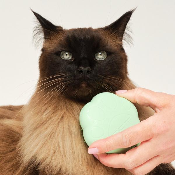 Tangle Teezer Cat Grooming Brush #6