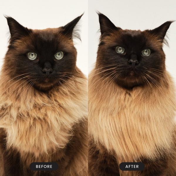 Tangle Teezer Cat Grooming Brush #7