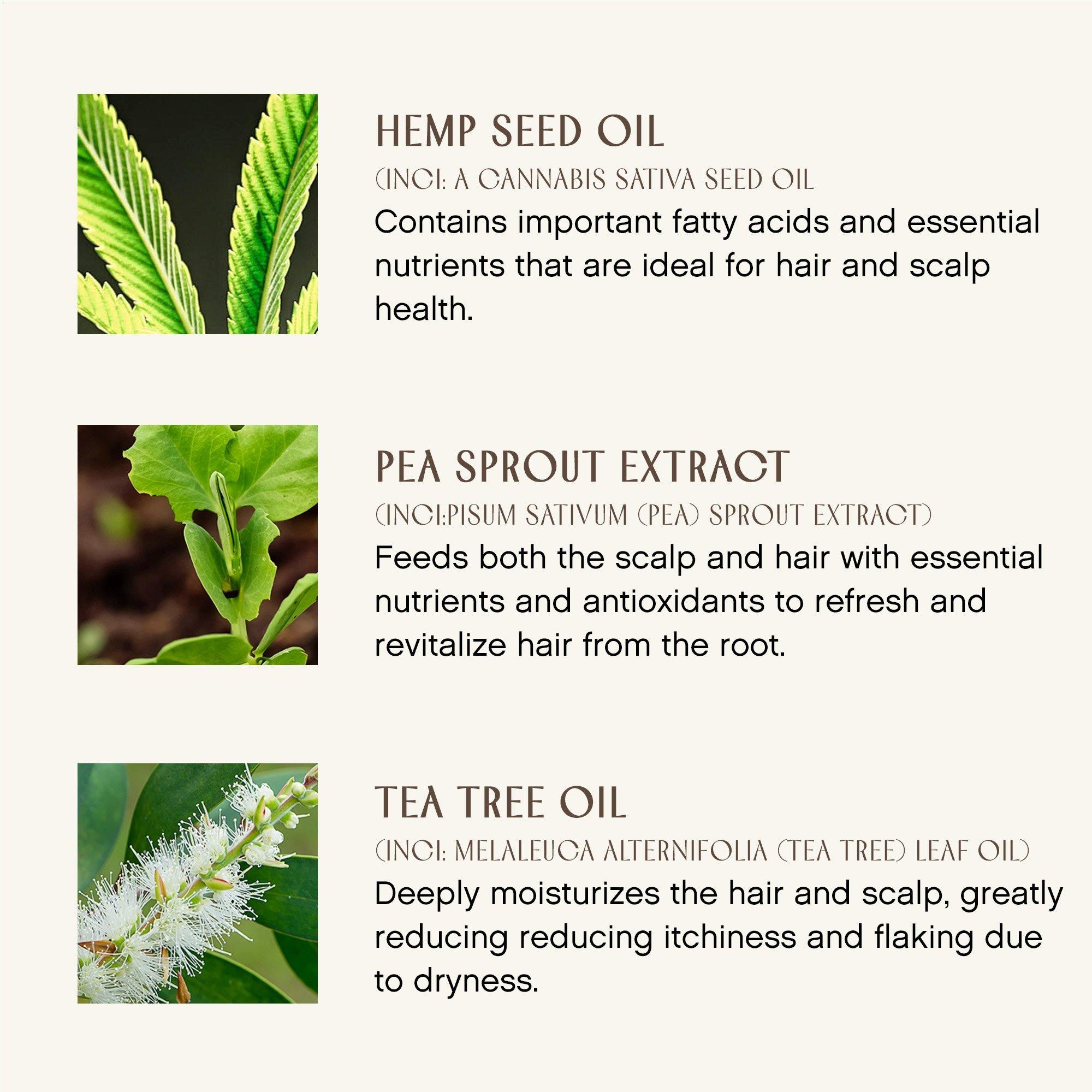 Ежедневная активная сыворотка для кожи головы Innersense Organic Beauty Hair Renew — фото 4