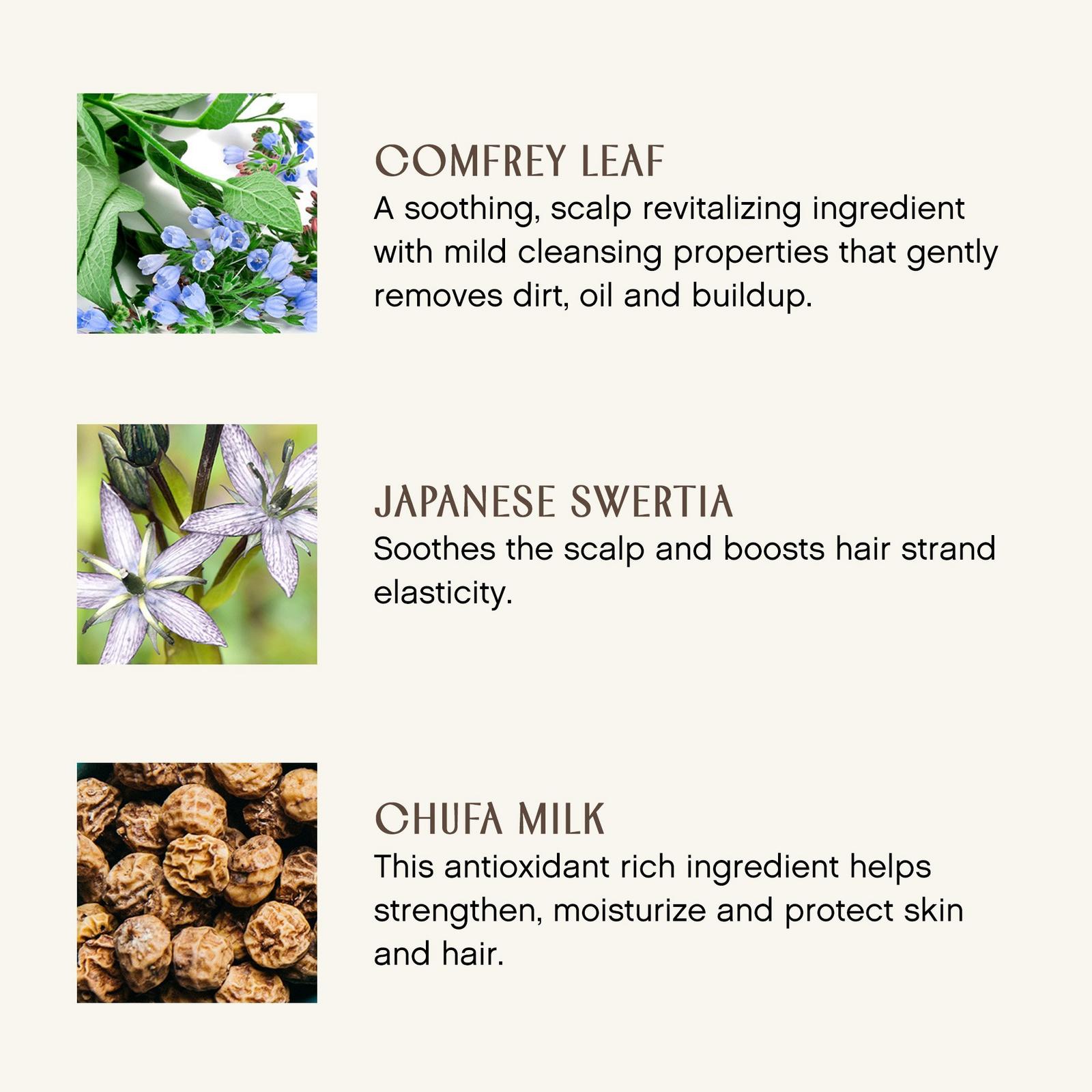 Clarity Fragrance-Free Hairbath