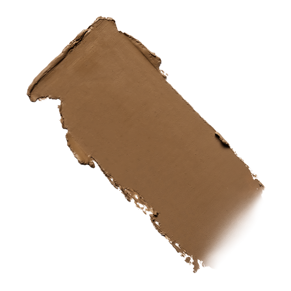 Conceal + Perfect Blur Out Skin Tint Stick - 016