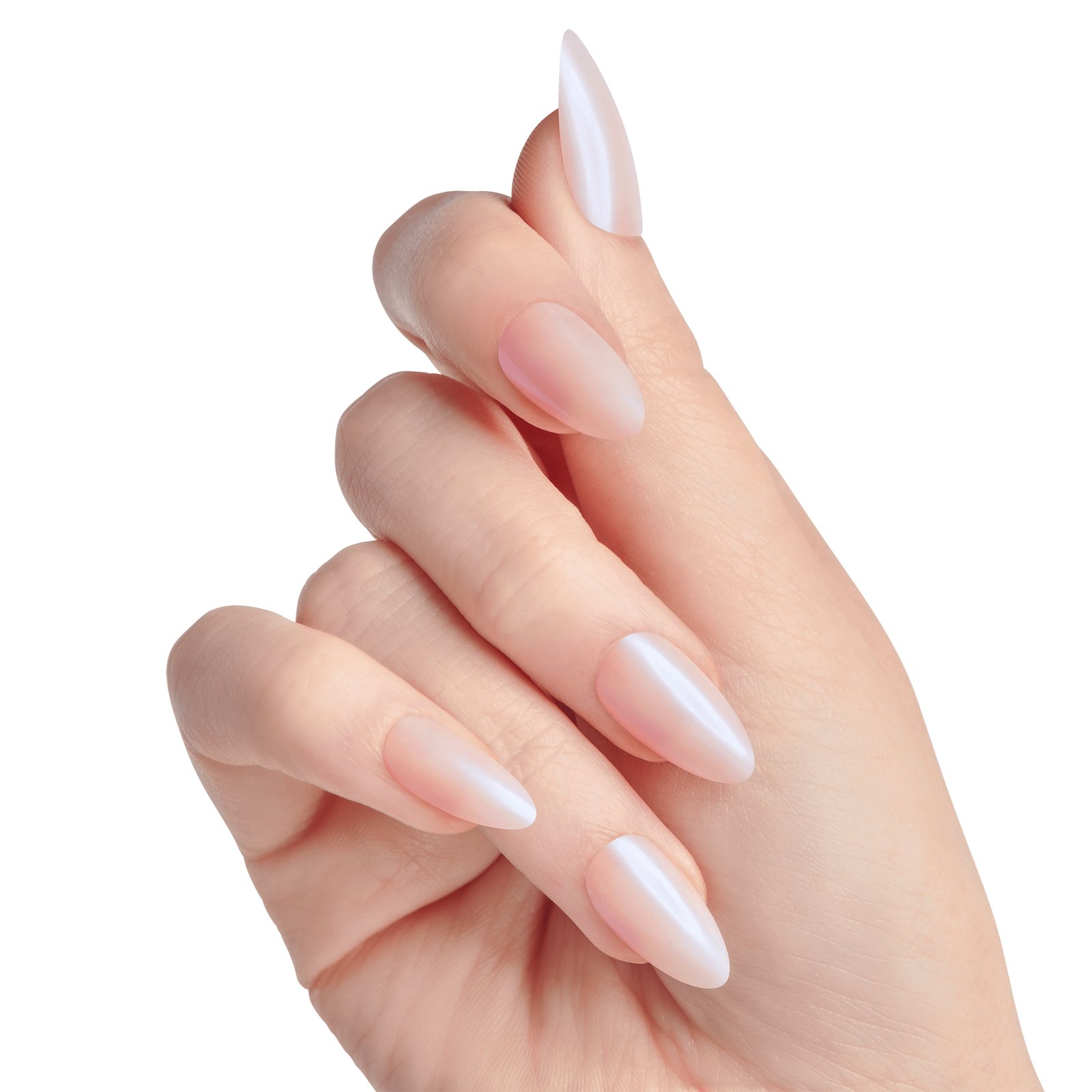 Showme Gel Magnetic Gel BB-55 Showme Gel Magnetic Gel BB-55