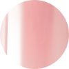 Intro