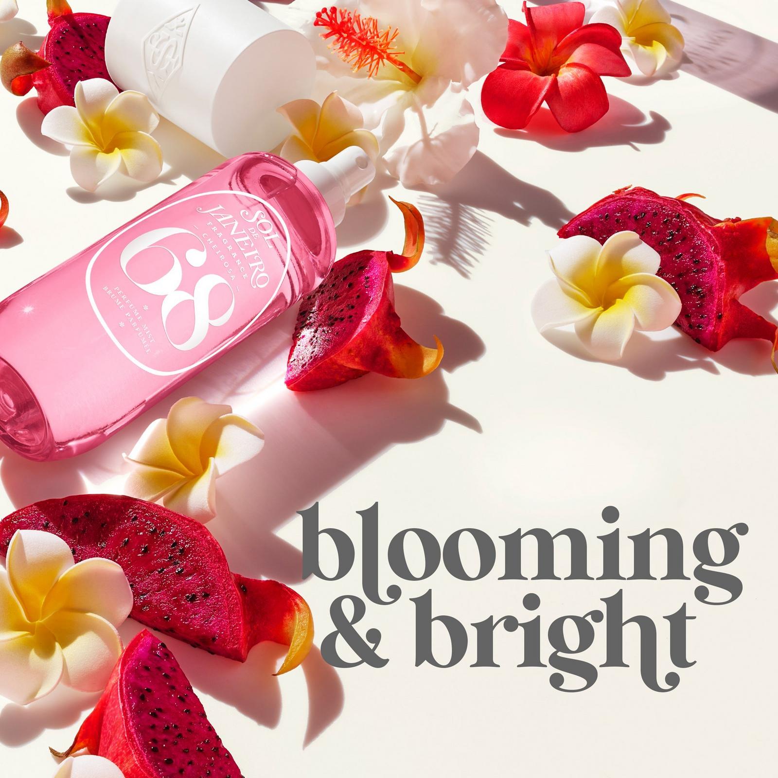 Cheirosa 68 Beija Flor Perfume Mist - Sol de Janeiro