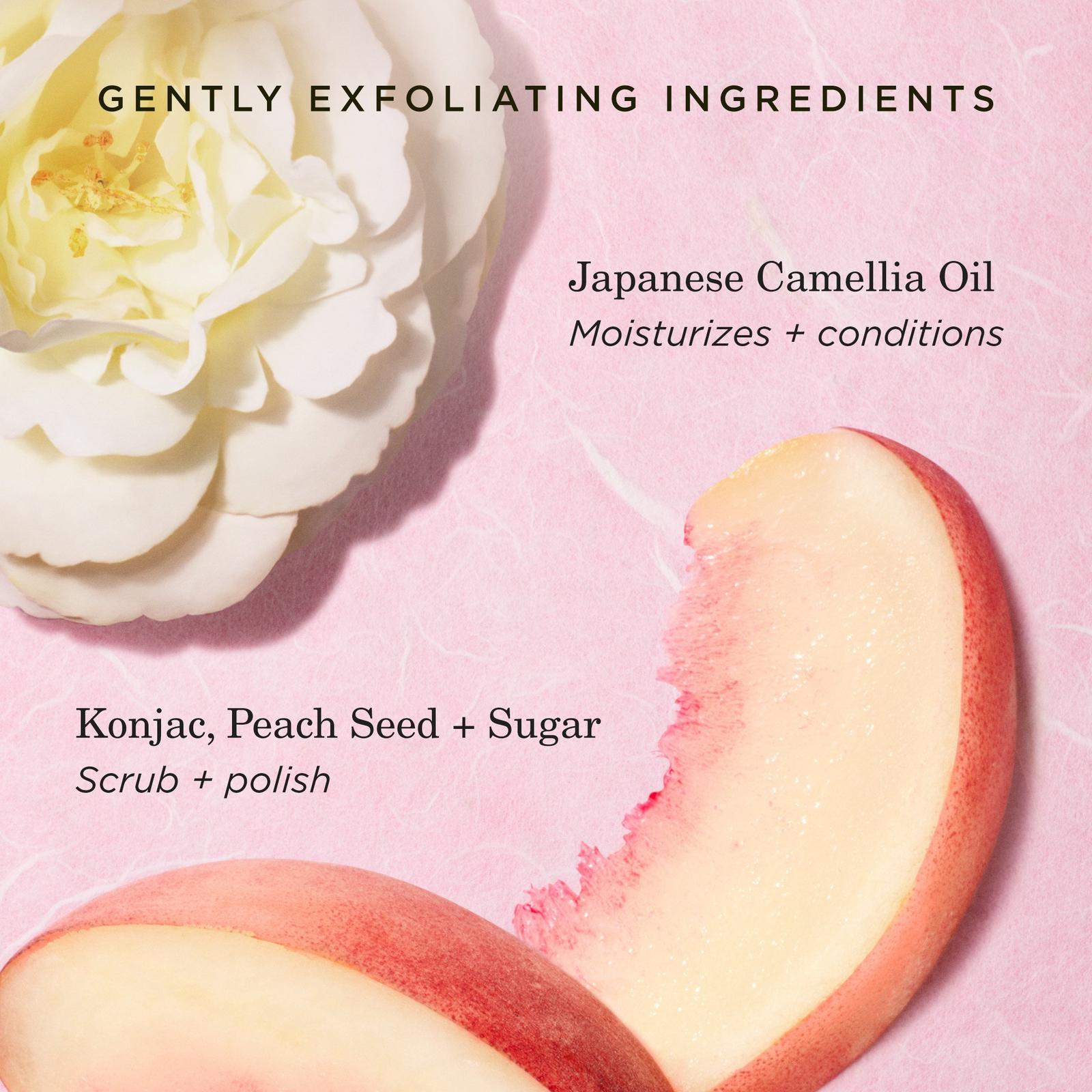 The Kissu Lip Scrub Moisturizing Lip Exfoliant