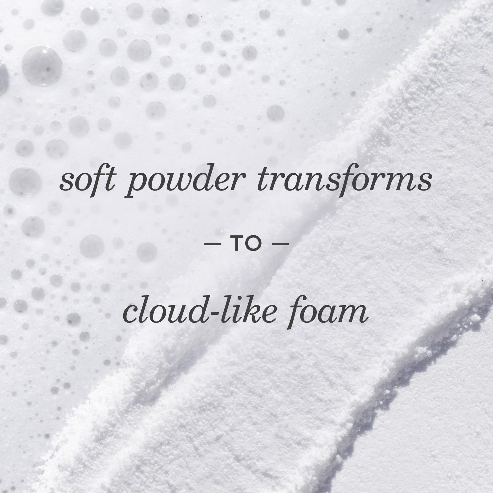 The Rice Polish Foaming Enzyme Powder