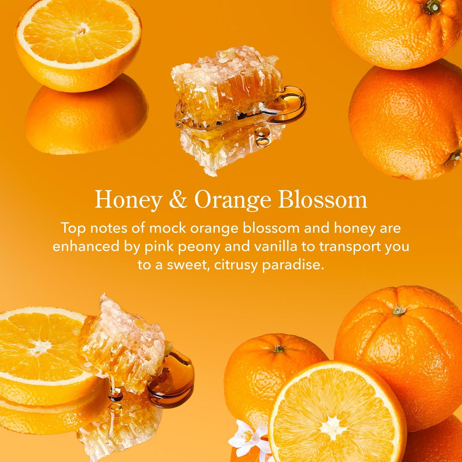 Honey & Orange Blossom Bodycare Minis Discovery Kit