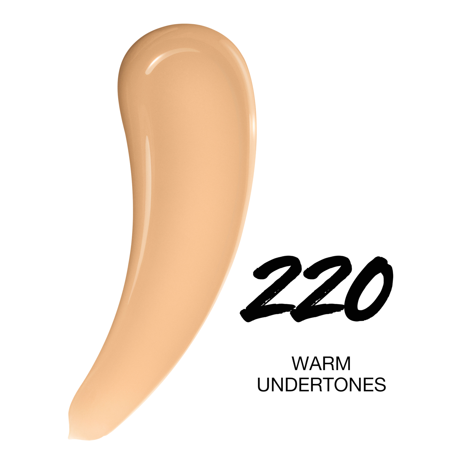Super Stay Up to 30HR Wear Lumi-Matte Longwear Foundation - 220