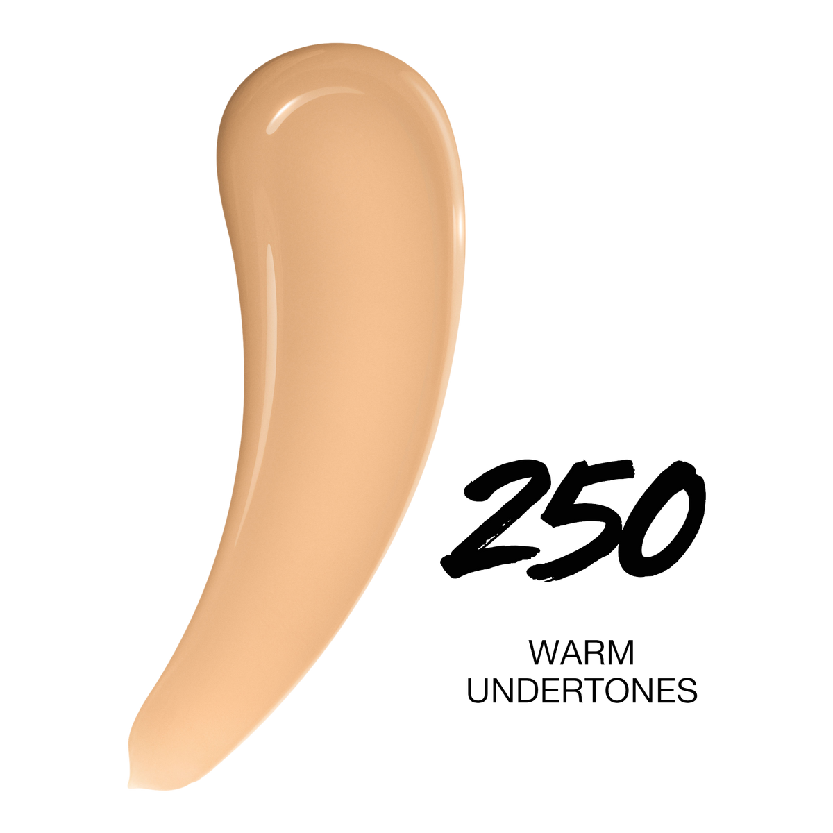 Super Stay Up to 30HR Wear Lumi-Matte Longwear Foundation - 250