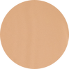 Shade 10