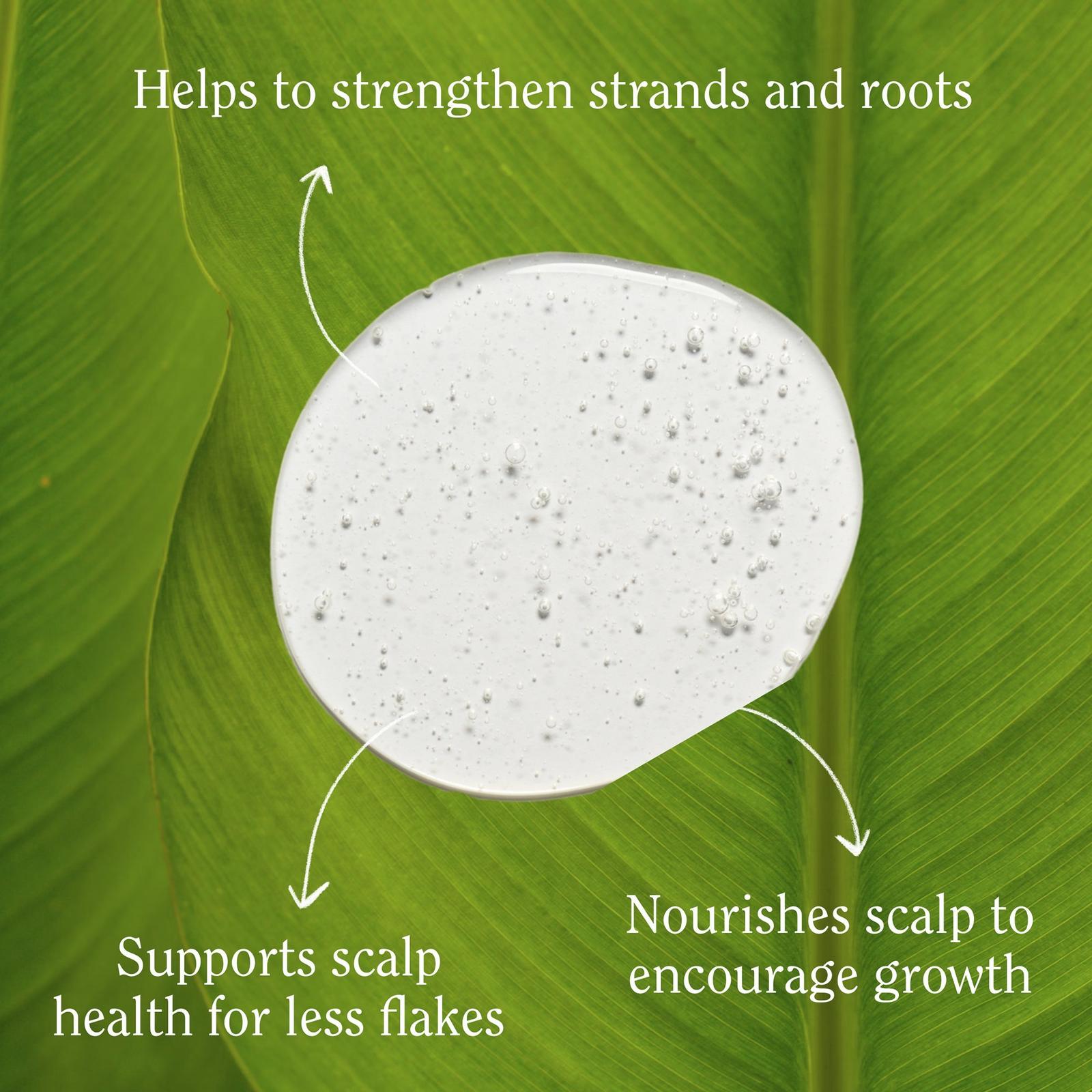 Re:GRO Anti-Thinning Shampoo