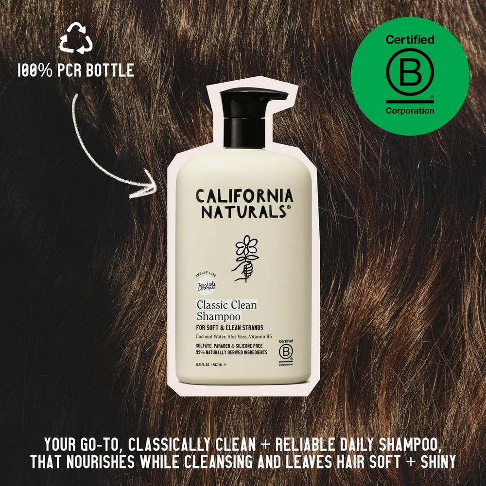 Classic Coconut Shampoo
